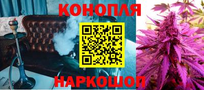 прущая мука Гай