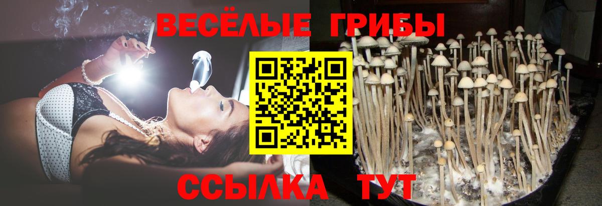 Можайск  Псилоцибиновые грибы Magic Shrooms  Вход с VPN 